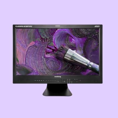 Photo of Flanders Scientific AM210/11