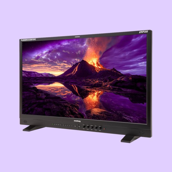 Photo of Flanders Scientific XMP310